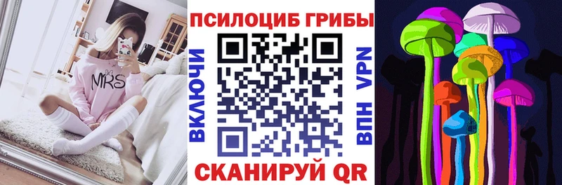 mega как зайти  Дигора  Псилоцибиновые грибы мицелий 