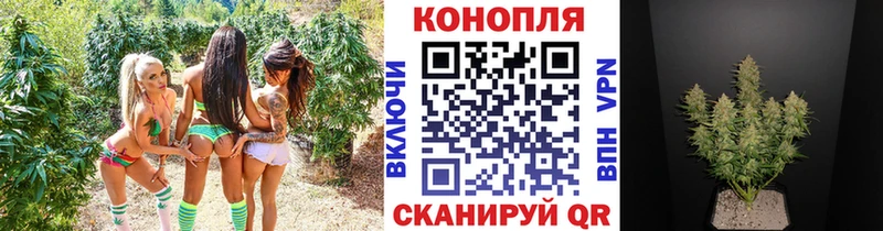 где купить наркоту  Дигора  даркнет формула  Канабис индика 